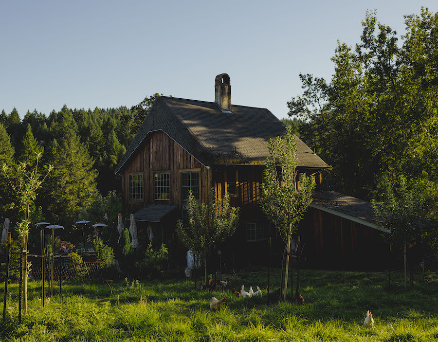 Back of the Cottage