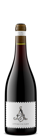2022 Juel Pinot Noir