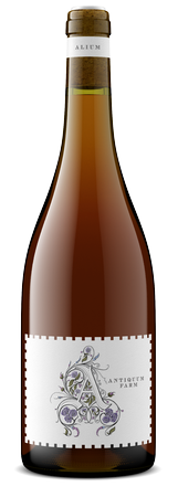 2024 Alium BTG